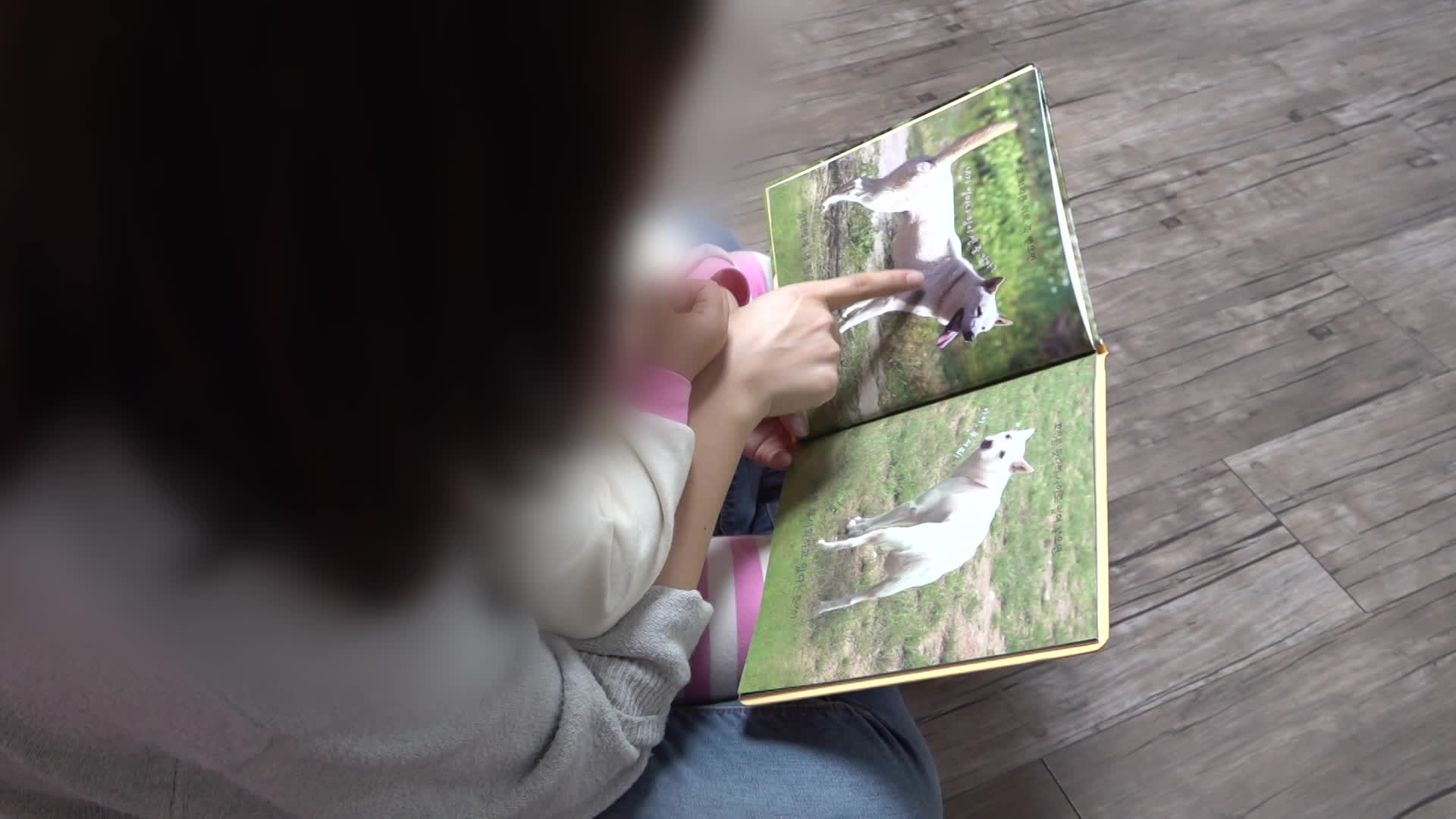강제징수 피하려 양육비 ‘꼼수’ 입금?…선지급제 <br>과제는 기사 이미지