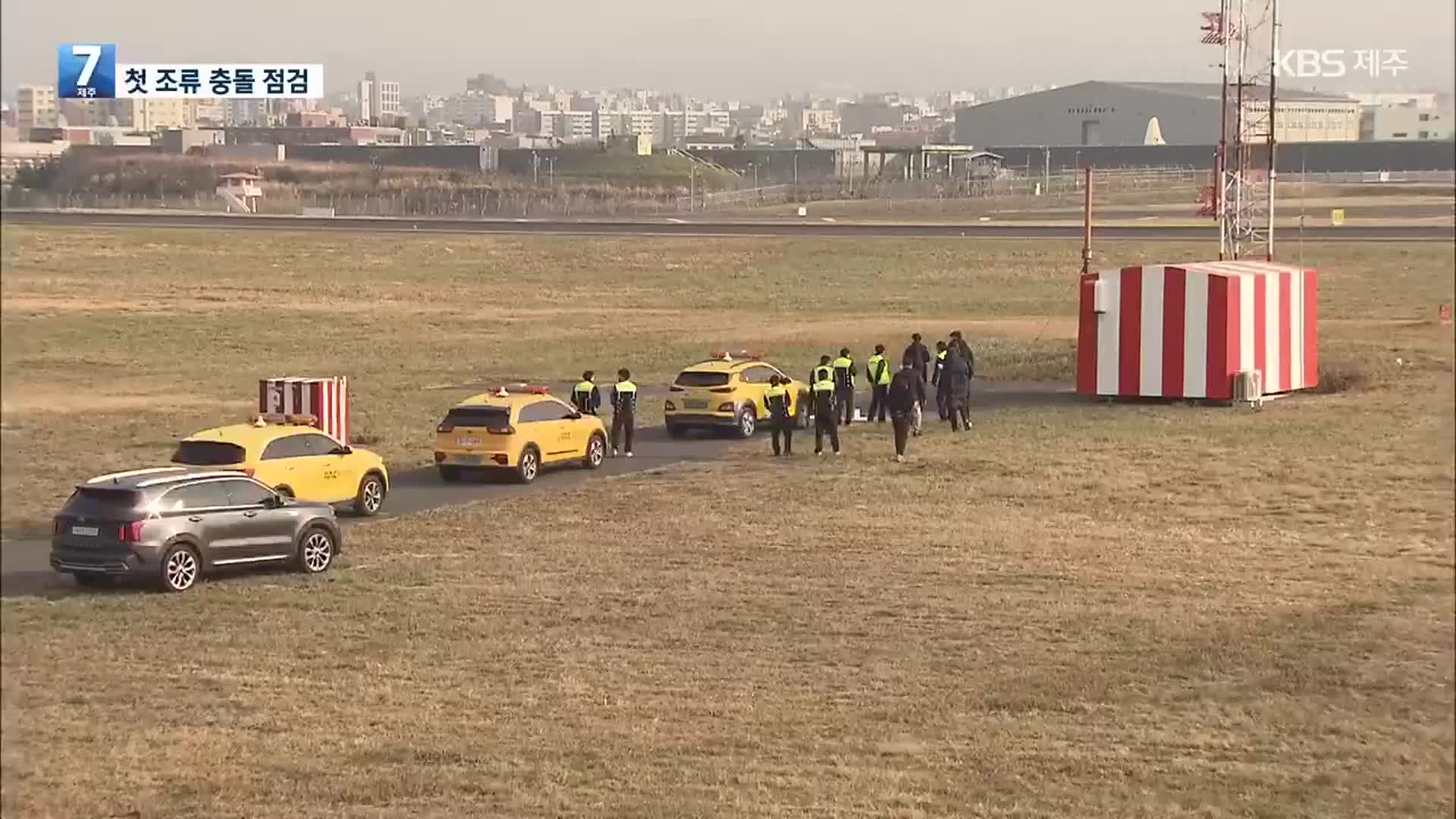 제주공항 첫 조류충돌 점검…개선 방안 마련되나?